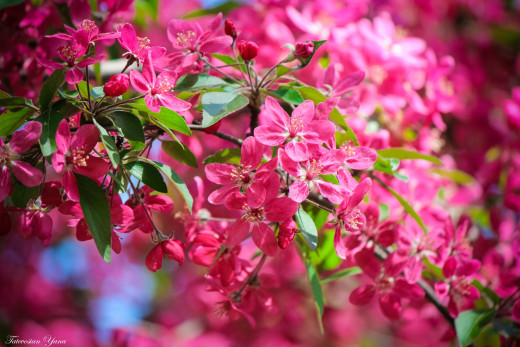 826137 (a): :2400x1600